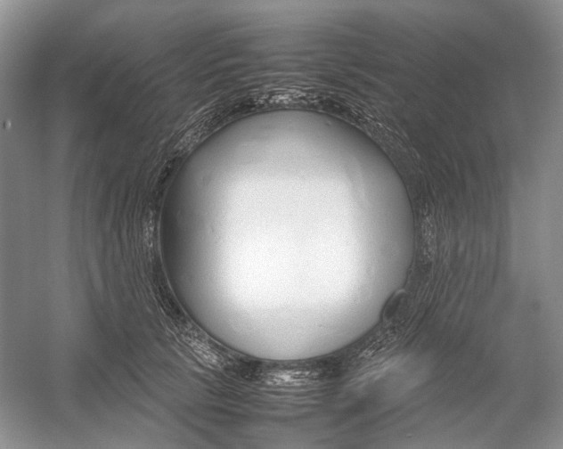 X0000054370657200508262342