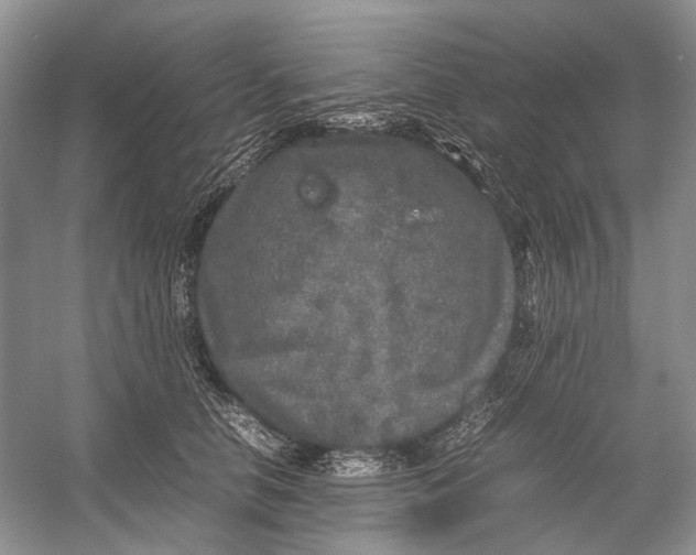 X0000054370658200508262342