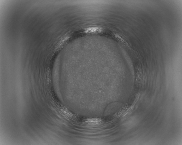 X0000054370659200508262342