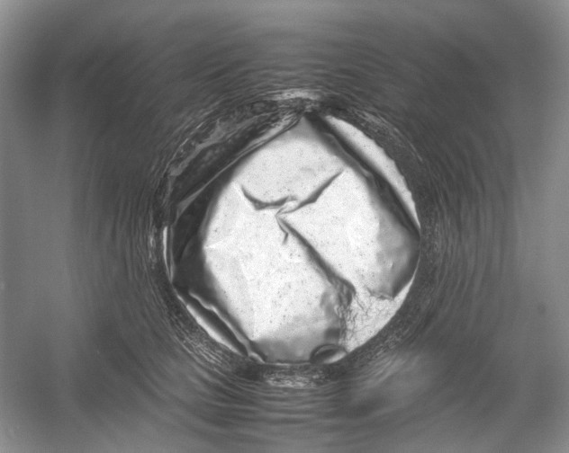 X0000054370661200508262342