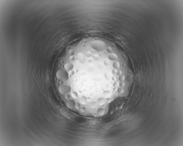 X0000054370662200508262342