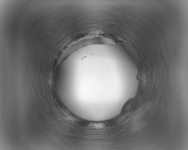 X0000054370665200508262342