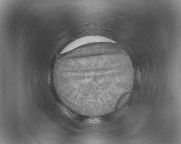 X0000054370668200508262343