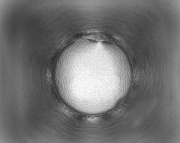 X0000054370669200508262343