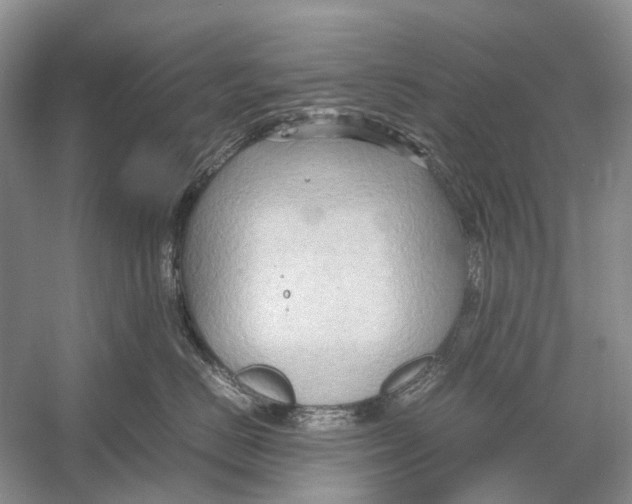 X0000054370670200508262343