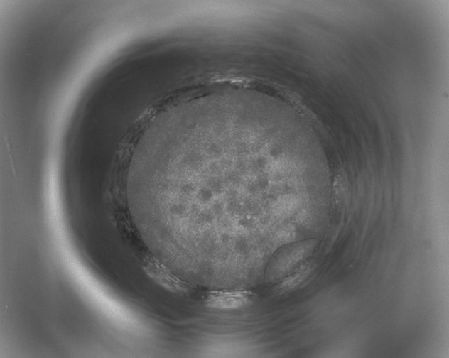 X0000054370671200508262343