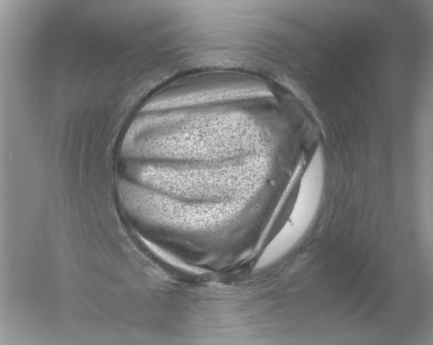 X0000054370673200508262342