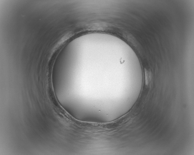 X0000054370675200508262342