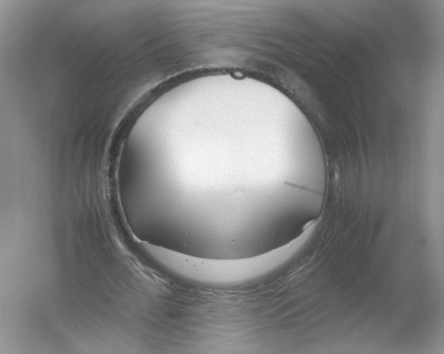 X0000054370676200508262342