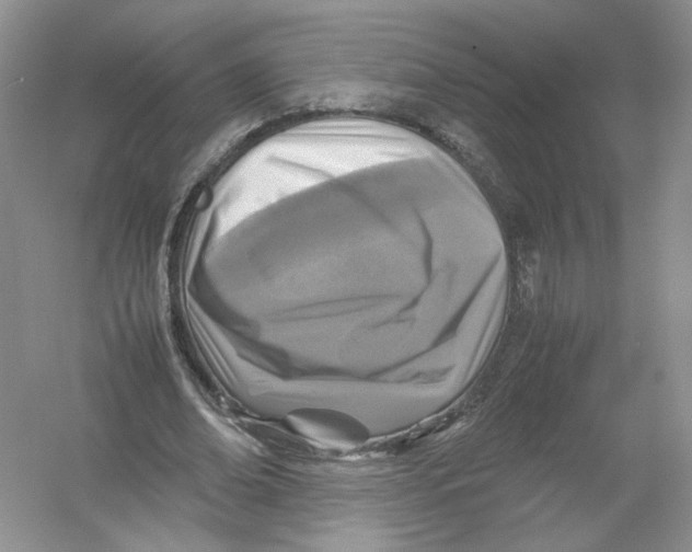 X0000054370678200508262342