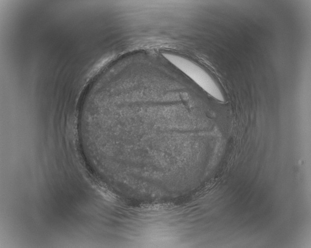 X0000054370679200508262342