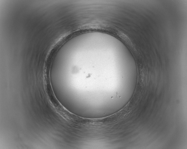 X0000054370680200508262342