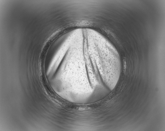 X0000054370684200508262342