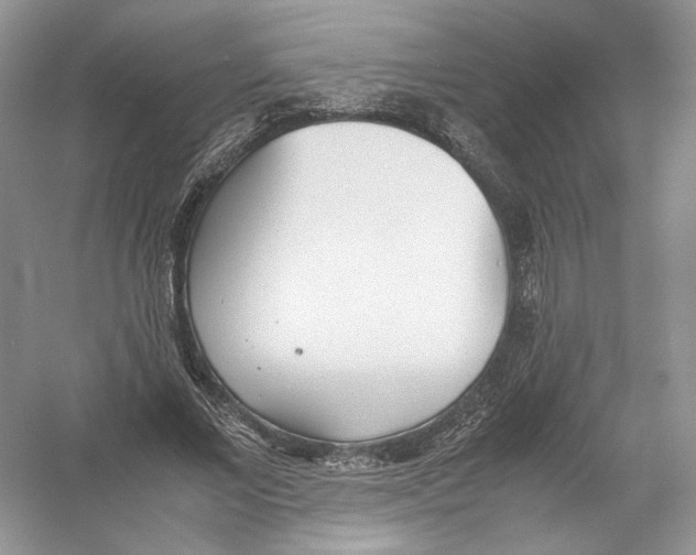 X0000054370685200508262342