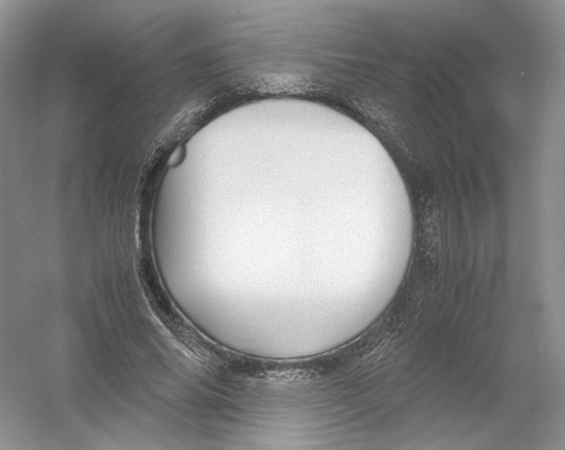 X0000054370686200508262342