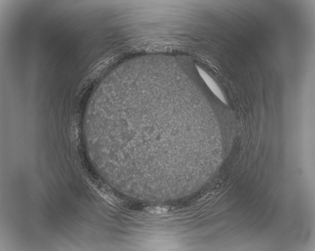 X0000054370687200508262342