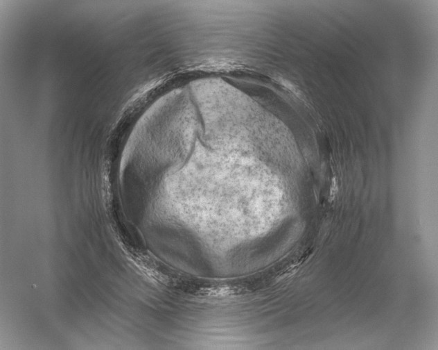 X0000054370688200508262342