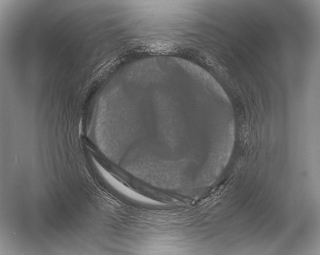 X0000054370689200508262342