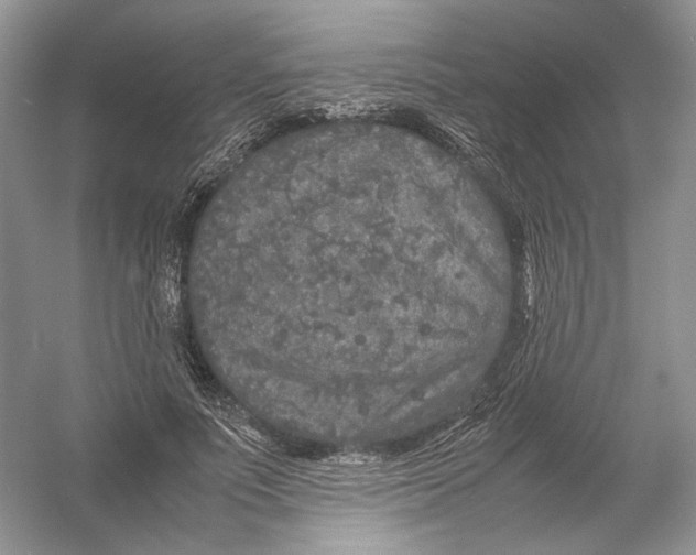 X0000054370691200508262341