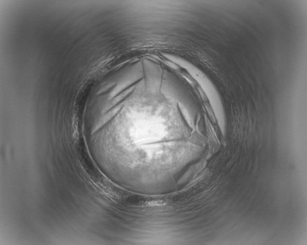 X0000054370692200508262341