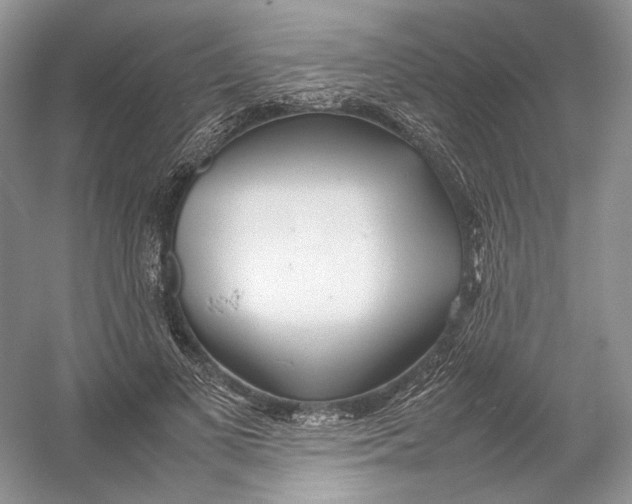 X0000054370693200508262341