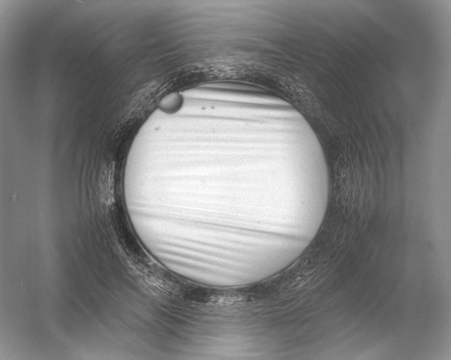 X0000054370694200508262341