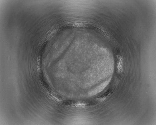 X0000054370696200508262341