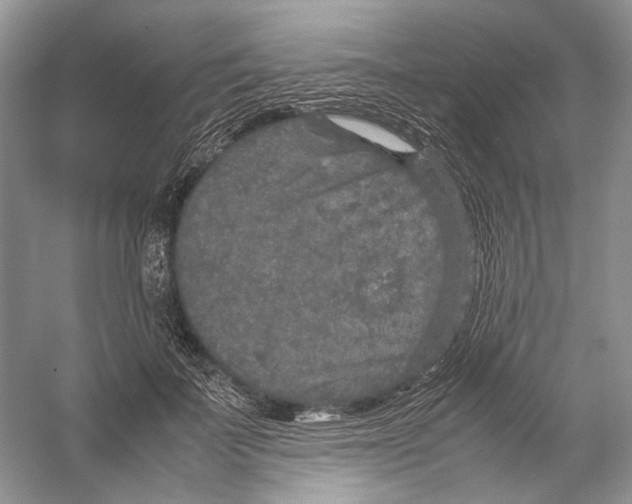 X0000054370699200508262341