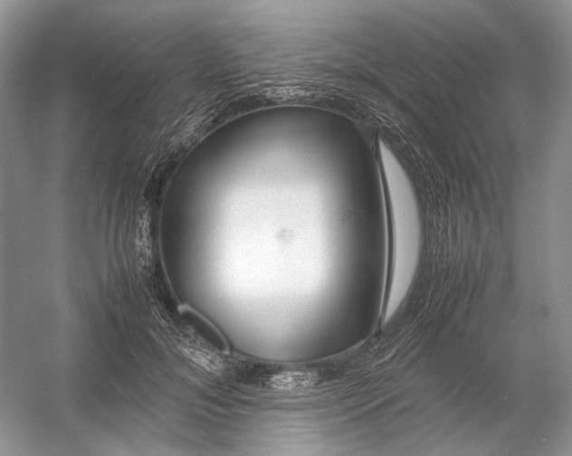 X0000054370700200508262341