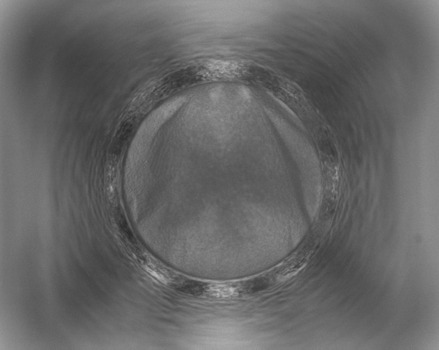 X0000054370701200508262341