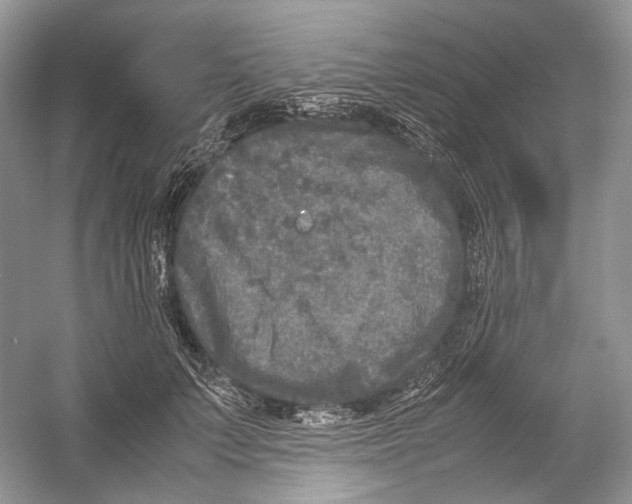 X0000054370703200508262341