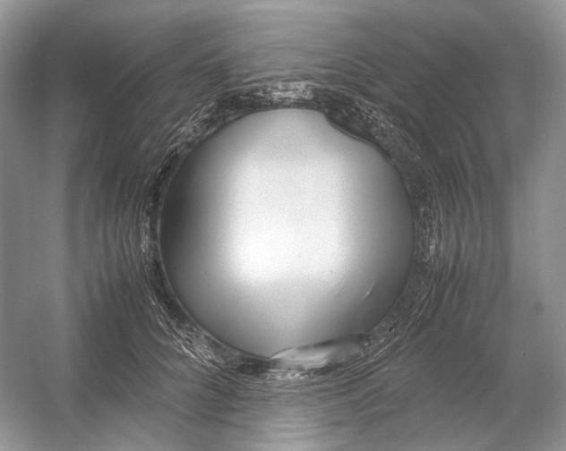 X0000054370704200508262341