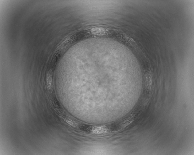 X0000054370705200508262341