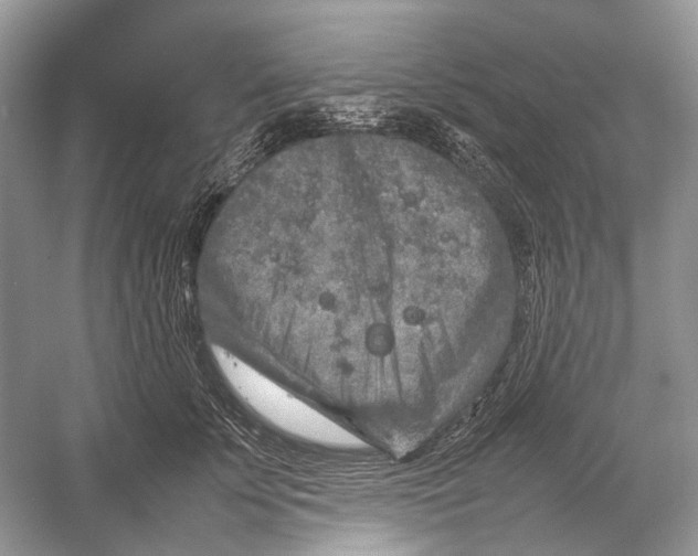 X0000054370707200508262341