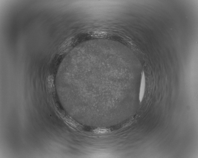 X0000054370711200508262341