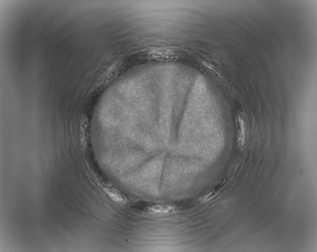 X0000054370712200508262341