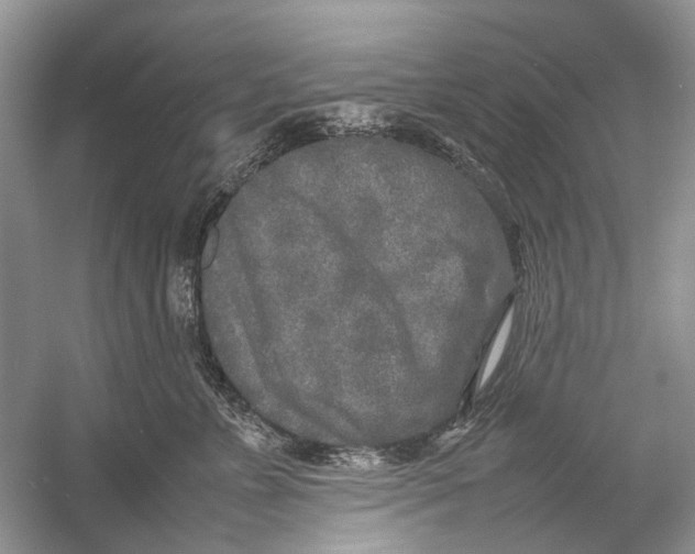 X0000054370715200508262341