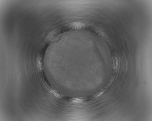 X0000054370718200508262341