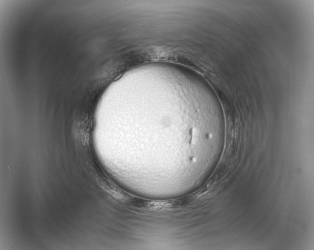 X0000054370719200508262341