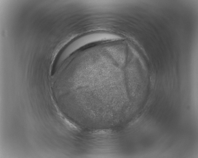 X0000054370721200508262340