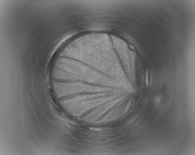 X0000054370723200508262340