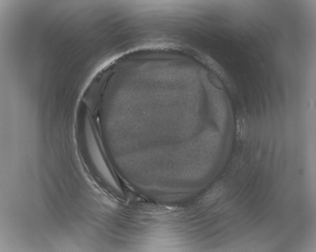 X0000054370724200508262340