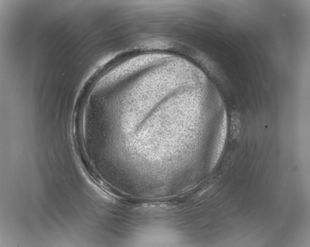 X0000054370726200508262340