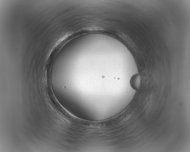 X0000054370727200508262340