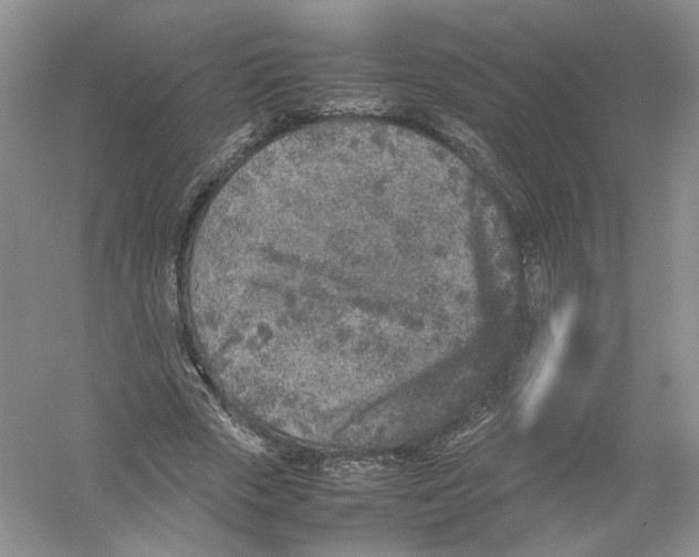 X0000054370729200508262340