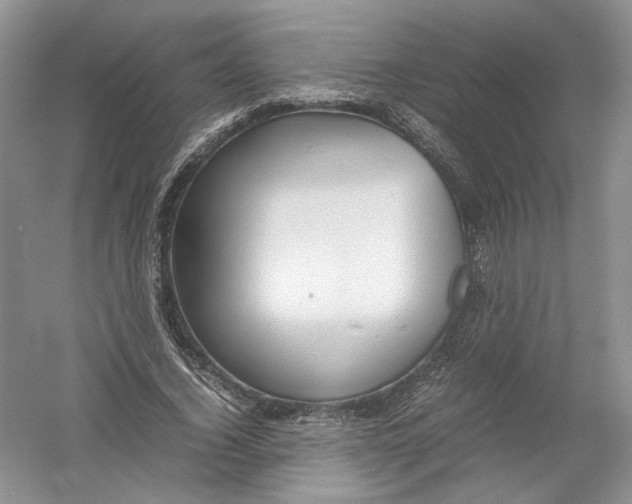 X0000054370732200508262340