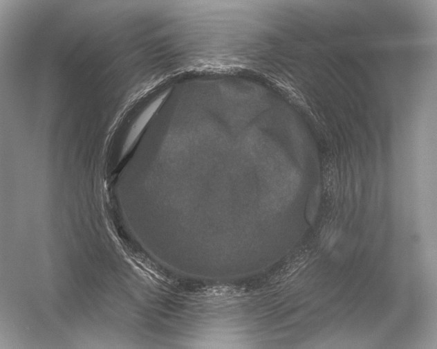 X0000054370736200508262340