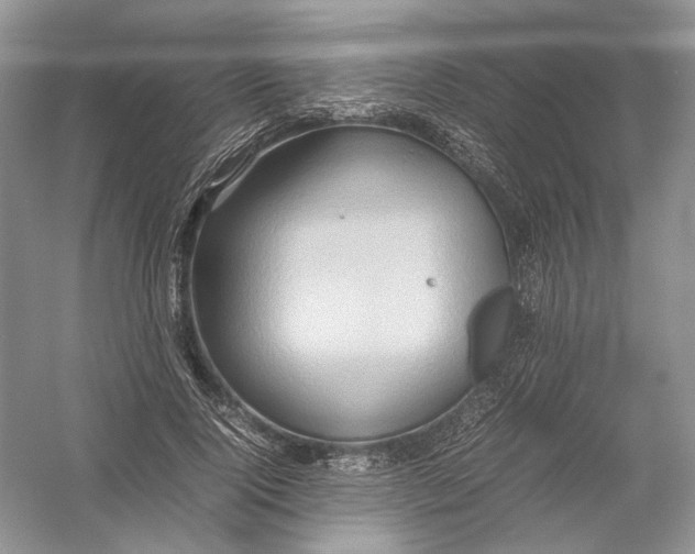 X0000054370740200508262340