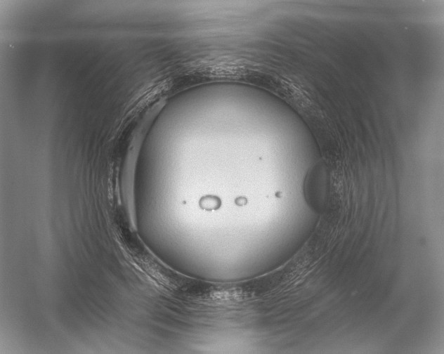 X0000054370744200508262341