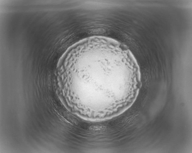 X0000054370745200508262341